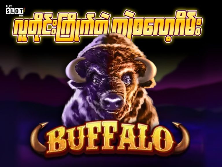 လူတိုင်းကြိုက်တဲ့ ကျွဲစလော့ Buffalo