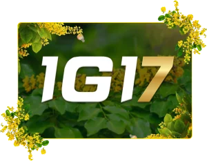 1G17