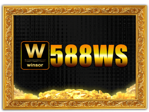 WS588